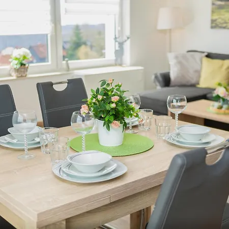 Panoramablick Appartement Sankt-Andreasberg