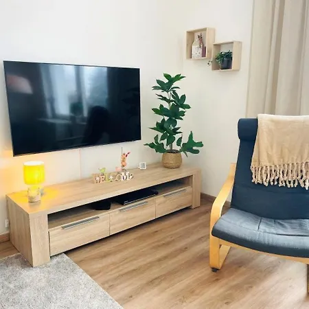 Panoramablick Appartement Sankt-Andreasberg