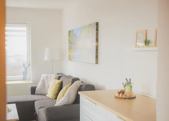 Panoramablick Daire Sankt Andreasberg